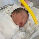 라하(RAHA) 이미지