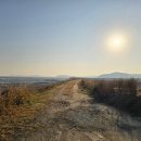 황토갯벌랜드1 이미지