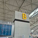 파라타항공 다낭 후기 : 다낭 공항 도착, 패스트트랙 없이 입국 후기