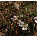 상만목장 이미지