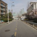 분당-343 이미지