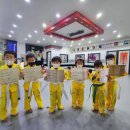 다짐태권도장 이미지