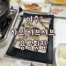 여수용궁횟집 새조개 하모샤브샤브 물회 | 🦐 [여수] '용궁횟집' 하모 샤브샤브 애견동반 가능 돌산에서 꼭 들러야 할 추천 맛집 후기✨