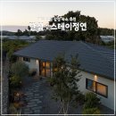 스테이정연