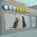 나은동물병원 이미지