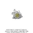놀던스파이 이미지