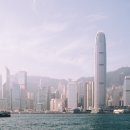 세무법인세원 이미지