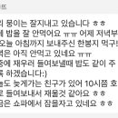 아르몽뜨 이미지