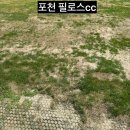 필로스골프클럽 | 포천일동 필로스 골프장 전날예약 특가 8만원 후기｜잔디 상태는 아쉽지만 가격은 굿 ⛳ |무료식사
