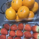 돌돌말아뽀글뽀글 이미지