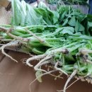 장화농장2 이미지