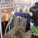 반갑소농장 이미지