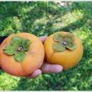 동읍1223 이미지