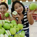 연두사과 이미지