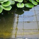 도천농장 이미지