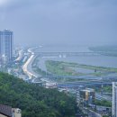 낙동대로 이미지