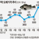 활어시장회도매센타 이미지