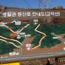 대성초교 이미지