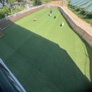 네버슬립독 이미지