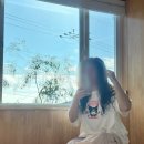 월령솔가 | 제주 감성숙소 스테이마르 솔직후기