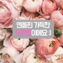 24시 무인카페 만월경 금빛그랑메종점 | 성남금광동카페 "24시 무인카페 만월경 금빛그랑메종점" 추천해요 :D