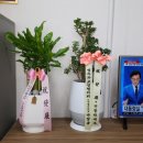 청담행정사사무소 이미지