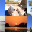 땅끝황토나라테마촌 이미지