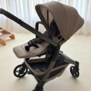 (주)드림에이치엔제이 | 출산 D-5일 고운이 맞이할 마지막 집 정리 🏠 🤍