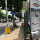 멘토 영남지사 Daum카페