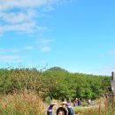 하늘공원 이미지