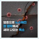 거북이 자동차정비 이미지