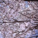 장어만 - 시흥시 진말로 5 | 장어만
