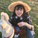 모두와 민박 이미지