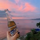 (주)스마트팀 | [스쿠버다이빙][다이빙일기][필리핀다이빙투어][스마트스쿠버아닐라오]