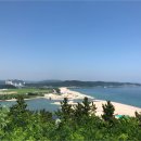 바다와소나무 티스토리
