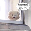 러브띵스 | 러브띵스 통판 구매 후기 / 트웬티 구매 후기 / 다꾸러