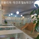 러블리 독 이미지