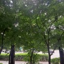 경기도 수원시 권선구 권중로120번길 17 이미지