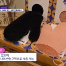 잘란분당카페 이미지