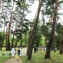 바다와솔숲 이미지