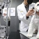 허주영농장 이미지