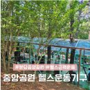 분천3리 야외운동기구 | 숲속 피트니스, 분당 중앙공원 팔각정 야외 헬스장 운동기구