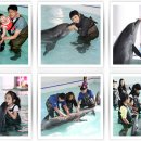 알콩제주 이미지