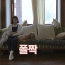 고양이민박 이미지