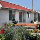 김녕안트레 이미지