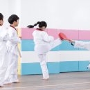 코리아 익스트림 태권도 이미지