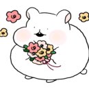 디.벨르네일