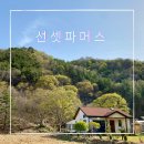 선셋파머스 | [충남 금산] 선셋파머스: 팜스테이/독채숙소/단독펜션/계곡숙소/숙박후기