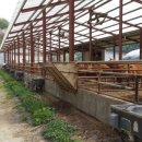 온새미로 한우 농장 이미지