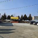 샘토명물닭갈비본점 이미지